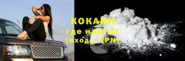 шишки Балабаново