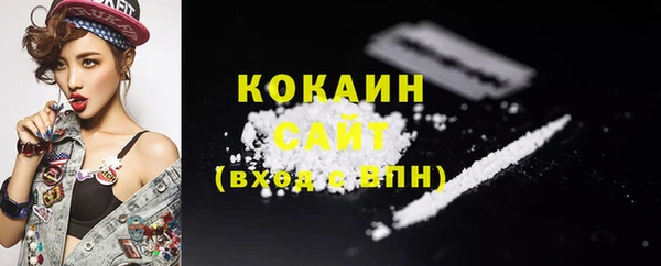 шишки Балабаново