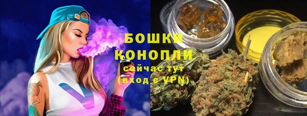 PSILOCYBIN Балахна