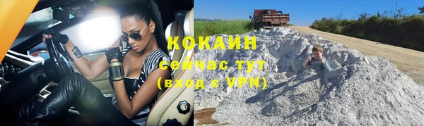 шишки Балабаново
