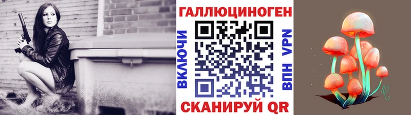 Галлюциногенные грибы Psilocybine cubensis  Козельск 