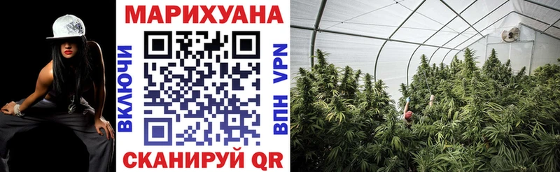 Каннабис сатива Козельск